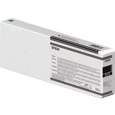 Картридж Epson C13T804700 700ml SC-P6000/7000/8000/9000 светло черный