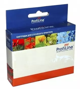 Картридж ProfiLine PL_T048_M струйный для принтеров Epson StylusPhoto R200/R220/R300/R300M/R320/R325/R340/RX500/RX600/RX620 с чернилами на водной осно