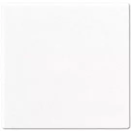 Клавиша Jung A590WW 1-ая A 500 белая