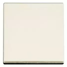 Клавиша Jung EP490 1-ая EcoProfi бежевая