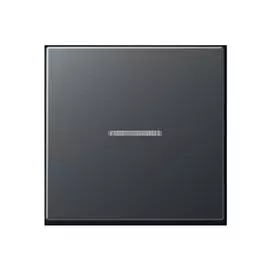 Клавиша Jung EP490KOAN 1-ая с/п EcoProfi антрацит