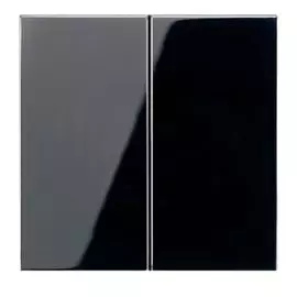 Клавиша Jung LS995SW 2-ая LS 990 черная