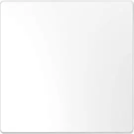 Клавиша Schneider Electric MTN3300-6035 Merten D-Life 1-ная белый лотос