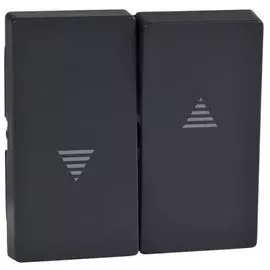 Клавиша Schneider Electric MTN435514 2-ая жалюзийная антрацит