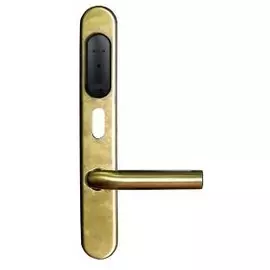 Контроллер Gate Gate-IP-Lock (IP500) беспроводной, с замком: радиоинтерфейс (868 Мгц), дальность до 20м, встроенный считыватель (ASK+FSK), 3000 ключей