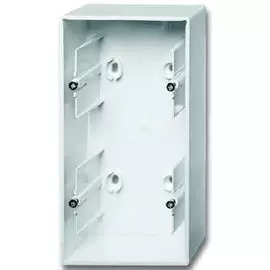 Коробка установочная ABB 2CKA001799A0975 для открытого монтажа, 2-постовая белая