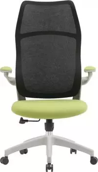 Кресло Cactus CS-GMC505-GYGN черное, сиденье салатовое, пластик серый