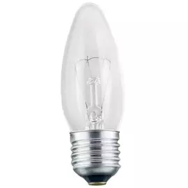 Лампа накаливания Россия 8109011 ДС 230-40Вт E27 (100) Favor