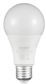 Лампа светодиодная Старт 17285_ LEDGLSE27 20W 30 WS 10/100