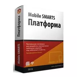 Лицензия Клеверенс MS-CLIENT Mobile SMARTS для терминала сбора данных, позволяет исполнять на ТСД конфигурации Mobile SMARTS в батч- и радио-режимах