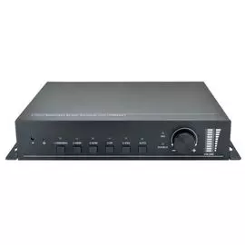 Масштабатор Digis SS-51TS