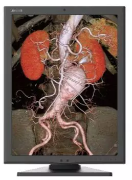 Монитор 21,3" Jusha JUSHA-M350G 2048х1536, 4:3, 2000cd, 1700:1, 20ms, 178/178, black