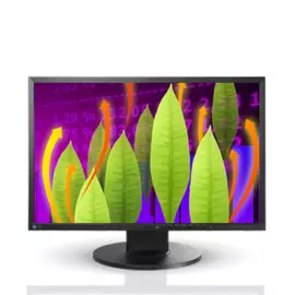 Монитор 22" Eizo FlexScan EV2216WFS 1680x1050, 5 мс, 250 кд/м2, 1000:1, 170°/160°, DVI-D (HDCP), DisplayPort, VGA, USB*2, Pivot