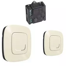 Набор Legrand 752650 Valena Allure with NETATMO, для управления освещением c 2х мест. Микромодуль реле 300 Вт 240В + два умных беспроводных 1-клавишны