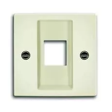 Накладка ABB 1753-0-0211 2CKA001753A0211 BASIC 55 (плата центральная) для коммуникац. розеток 0210, 0211 и 0219 без лапок (бежевая)