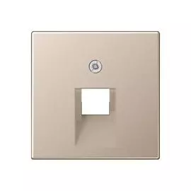 Накладка Jung A569-1PLUACH 1-ой наклонной ТЛФ/комп розетки A 500 шампань