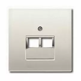 Накладка Jung ES2969-2UA 2-ой наклонной ТЛФ/комп розетки LS 990 Edelstahl
