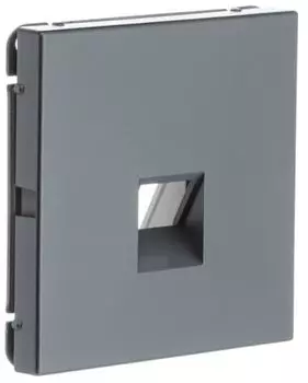 Накладка розетки компьютерной Systeme Electric GAL000984 ARTGALLERY типа Keystone, СТАЛЬ