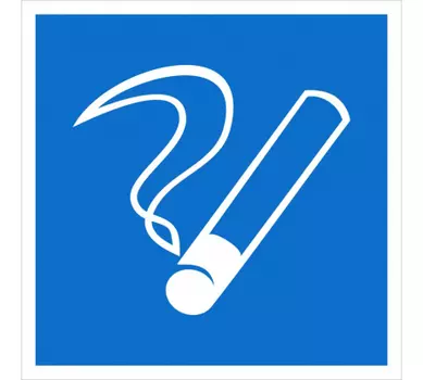 Наклейка Rexant 56-0032 информационный знак "Место курения" 100х100