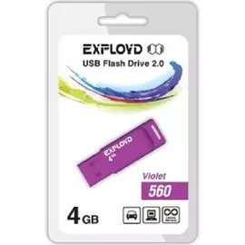 Накопитель USB 2.0 4GB Exployd 560