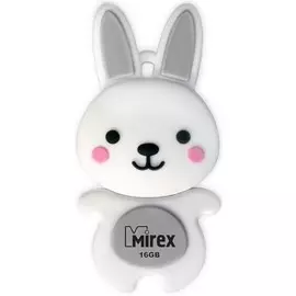 Накопитель USB 2.0 Mirex 13600-KIDRBG16