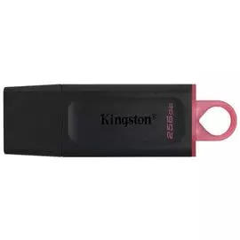 Накопитель USB 3.2 256GB Kingston DataTraveler Exodia DTX/256GB Gen1 Black/ Pink
