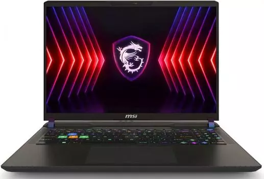 Ноутбук MSI Vector 16 HX A14VGG-283RU 9S7-15M242-283 i9-14900HX/8GB/1TB SSD/GeForce RTX 4070 8GB/16" QHD+ IPS/WiFi/BT/cam/Win11Home/gray
