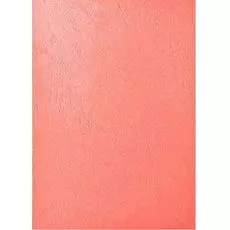 Обложка Fellowes FS-53737