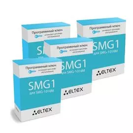 Опция ELTEX SMG1-SP3 пакет "АТС+СОРМ+ДВО" из четырёх опций для одного шлюза SMG-1016M: 1хSMG1-PBX-2000, 2хSMG1-VAS-500 и 1хSMG1-SORM