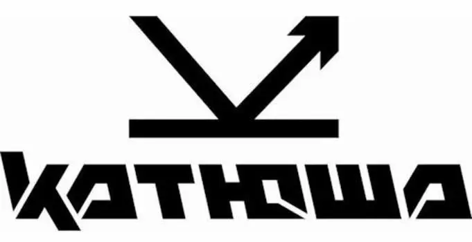 Опция Катюша НКМ348 SSD ёмкостью 256 Гб для МФУ M348