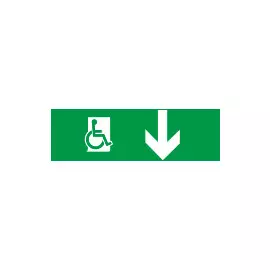 Оповещатель Болид С2000-ОСТ исп.17 (Инвалид вниз)