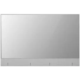 Панель LCD 55' LG 55EW5G