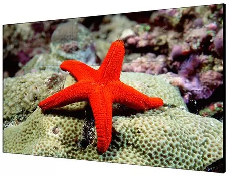 Панель LCD 55' HIKVISION DS-D2055LR-G 1920*1080; 1.07 млрд; 500кд/м2; 1200:1; 8мс; вх: HDMI, DVI, VGA, DP, USB; вых:DP, HDMI; 192Вт; VESA