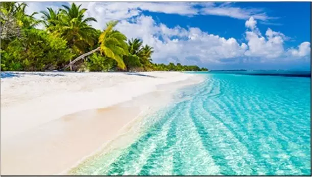 Панель LCD 55' Vestel WY55B-2H чёрная, 1920x1080, 16:9, 500кд/м, 1400:1, 8ms, 178°/178°, 2*HDMI, 3*USB, VGA