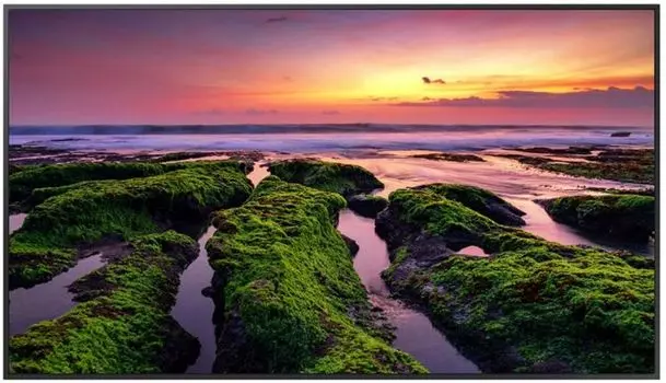 Панель LCD Samsung QB55B 55", 3840х2160, E-LED BLU, черный