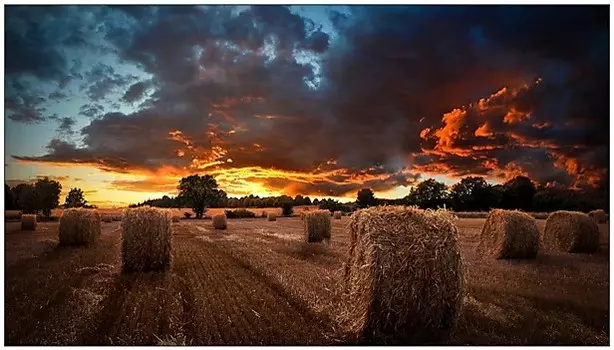 Панель LCD Samsung VM55B-U для видеостен 1920х1080,1200:1,500кд/м2,проходной DP, стык 3,5мм