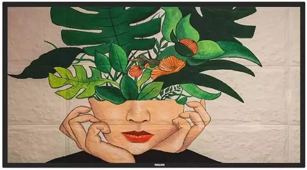 Панель LED Philips 55BDL4511D/00 D-Line, UHD, 24/7 landscape portrait, 500cd, Failover, USB Player, CMND&Control, LAN, OPS