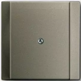 Панель лицевая ABB 2CKA001753A5481 кабеля (с суппортом), шампань