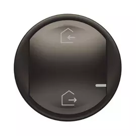 Панель лицевая Legrand 064832 Celiane with NETATMO, для главного беспроводного выключателя "Я дома/Я вне дома", графит