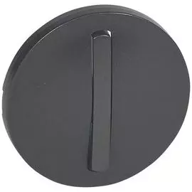 Панель лицевая Legrand 065201 Celiane - для 1-полюсного выключателя / переключателя 067001/02/31/32 с тонкой клавишей, графит