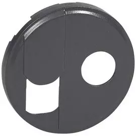 Панель лицевая Legrand 067939 Celiane - для розетки RJ 45 + розетки ТV тип F 067337 + 067382, графит