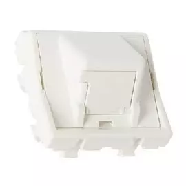 Панель лицевая Panduit CFPFS1SAW