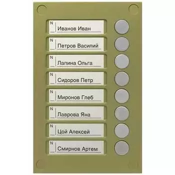 Панель VIZIT BS-424-8 кнопочная, используется в комплекте с блоком вызова БВД-424FCB-1