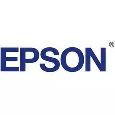 Печатающая головка Epson 1275824/1267348/F102000