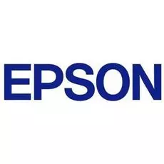 Печатающая головка Epson F078010/F078020