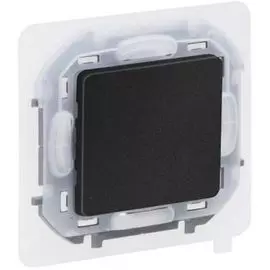 Переключатель Legrand 673673 Inspiria антрацит IP44 10 AX - 250 В