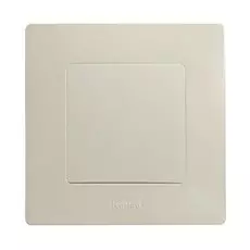 Переключатель Legrand Etika сл.кость, 10А, винт. клем. 672305
