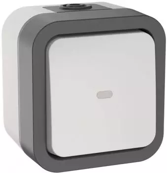 Переключатель одноклавишный с подсветкой IEK TS-V10-1-10-55-K41 TORS 10А IP55 TS202 серо-белый