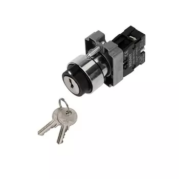 Переключатель Rexant 36-5552 BD21 2P с замком NO