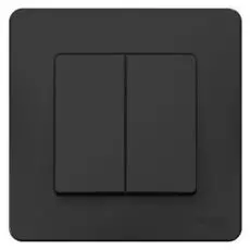 Переключатель Schneider Electric BLNVS106606 2-клавишный, 10А, 250B Антрацит внутр